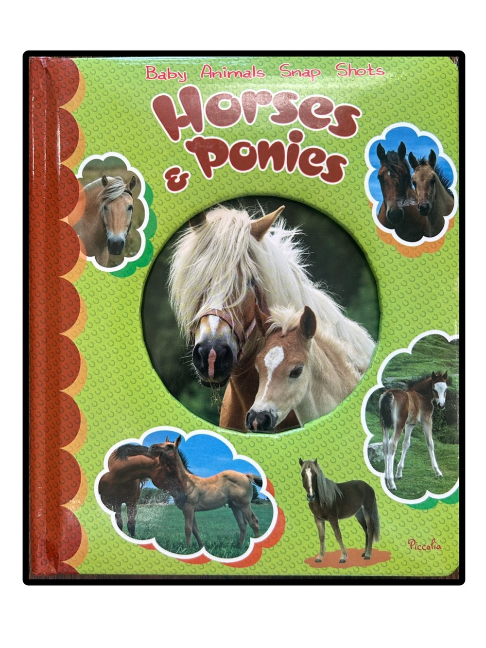 Baby Animals Snap Shots: Horses & Ponies Board Book